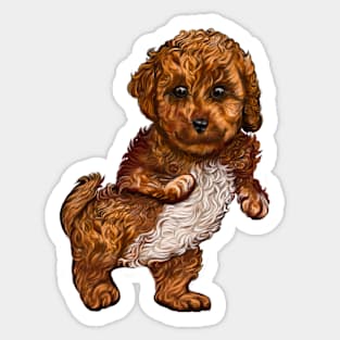 Cavapoo Cavoodle puppy dancing- cute cavalier king charles spaniel Sticker